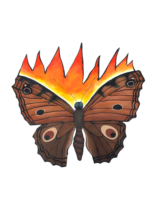 Butterfly on Fire